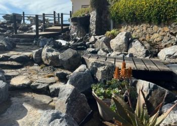 WhatsApp-Image-2023-03-10-at-9.53.24-AM