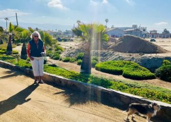 WhatsApp-Image-2023-03-29-at-10.37.24-AM